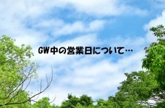 ＊GW中の営業日について＊